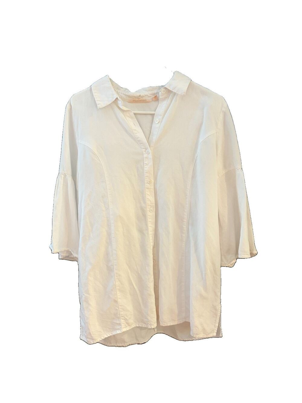 Soft Surrounding White Tunic Style Button Down Shirt